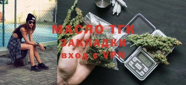 шишки Саяногорск