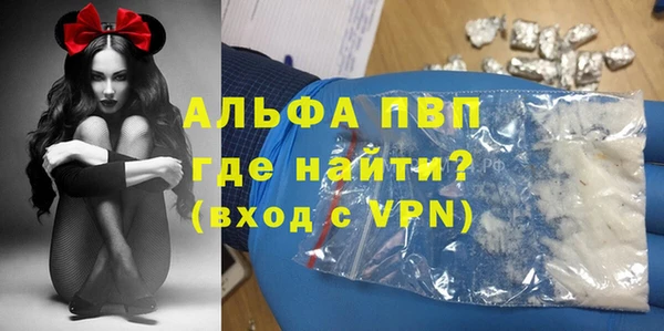 шишки Саяногорск