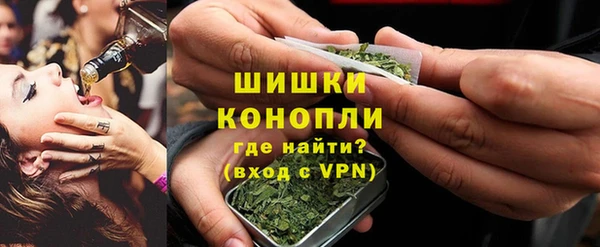 шишки Саяногорск