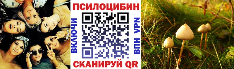 Псилоцибиновые грибы ЛСД  маркетплейс формула  Осинники  кракен онион 